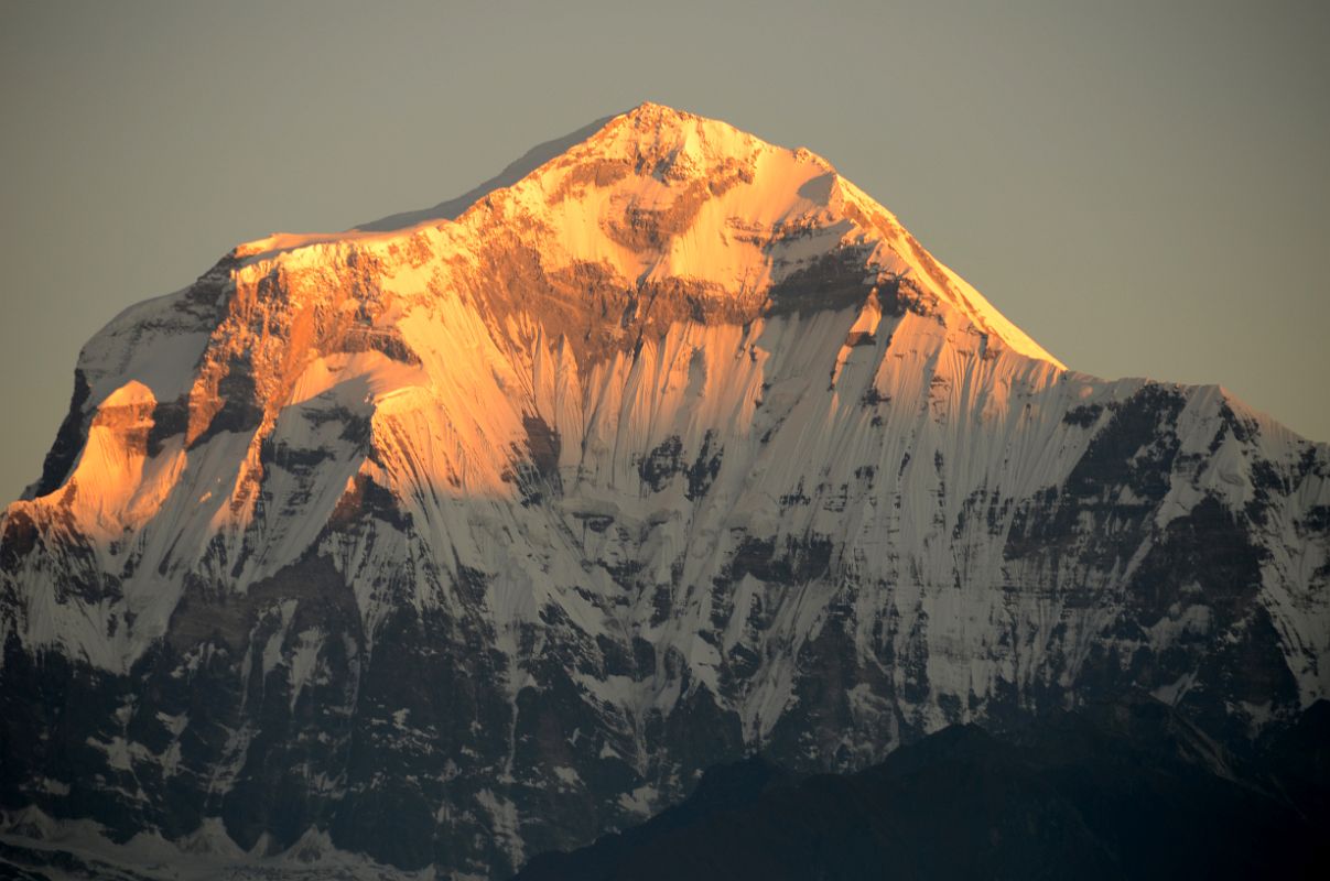 Poon Hill 09 Dhaulagiri At Sunrise 